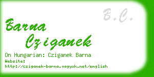 barna cziganek business card